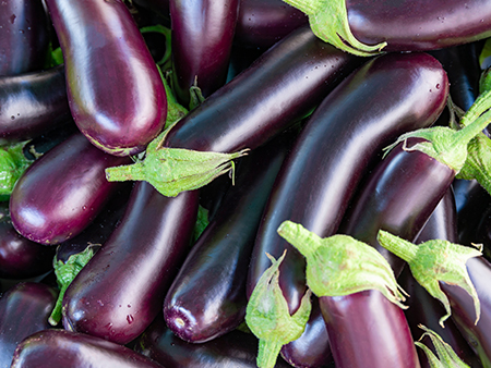 eggplant
