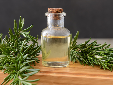 Rosemary leaves and oil