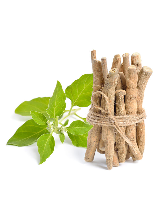 The Top 5 Ashwagandha Benefits for Hair and How to Get Them