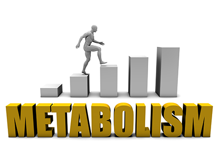 Increase Your Metabolism
