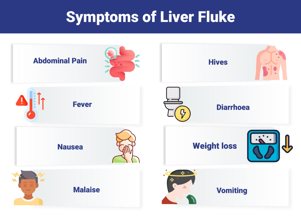 Liver Fluke - Symptoms, Causes, Risk Factors, Treatments and more