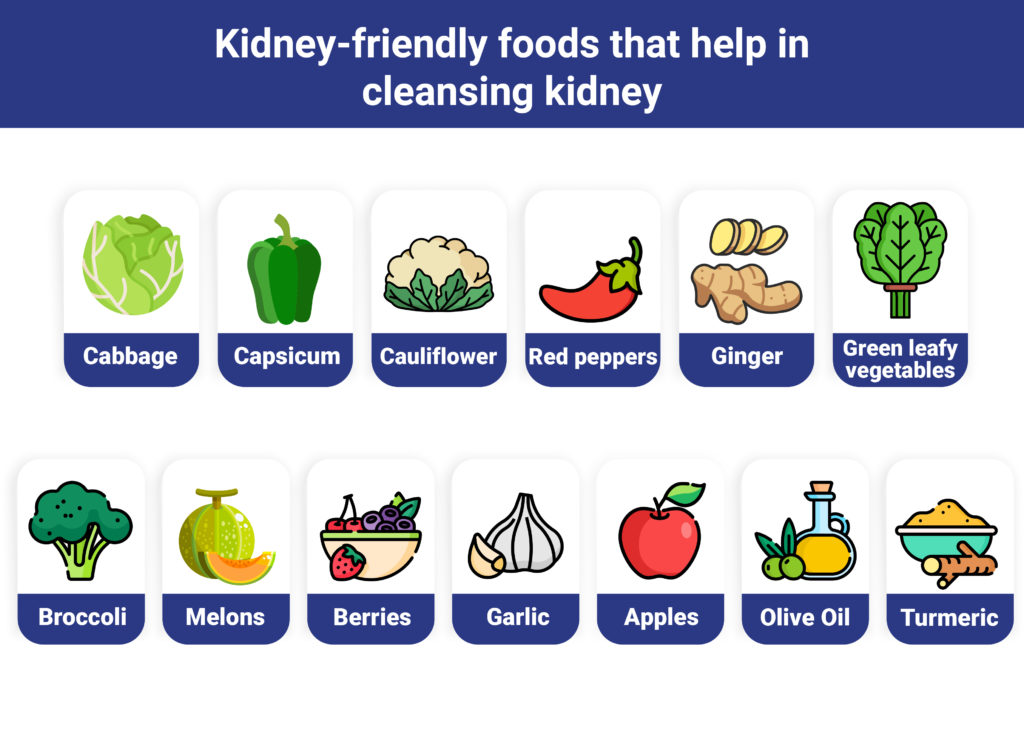 kidney-friendly foods that helps in kidney cleanse