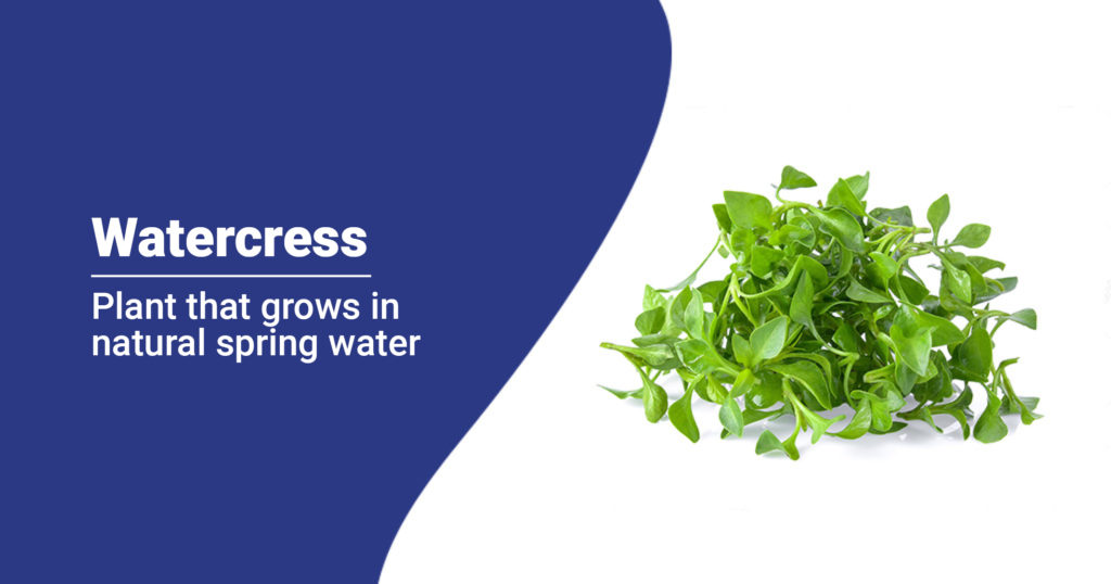 Watercress-Health Benefits