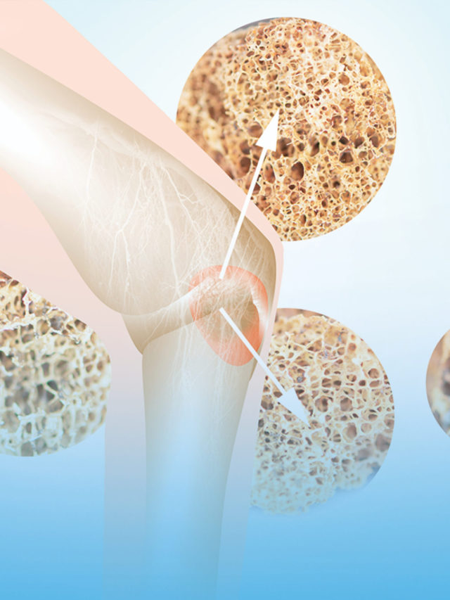 Bone Marrow – Important points to know