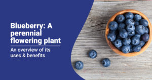 Blueberry: Health Tips From Nutrition Professionals